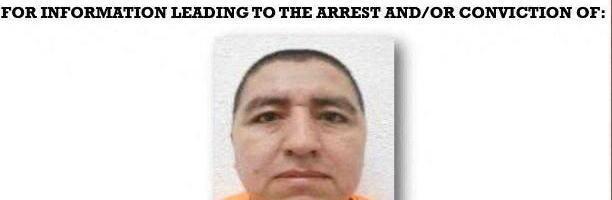 Uhapšen 'Baštovan', vođa zloglasne meksičke bande, skrivao se u jarku