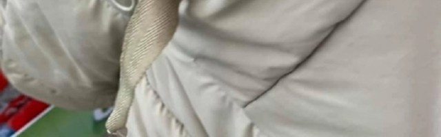 Zapanjeni kupac pronalazi u svojoj novoj George jakni, od 30 funti, nešto veoma vlažno i ljigavo!