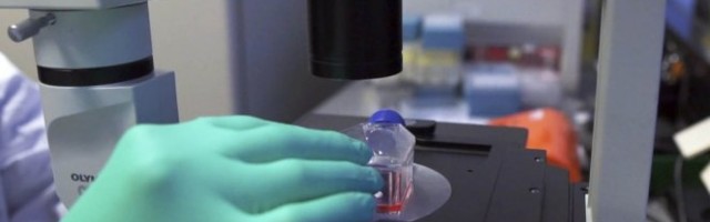 Srpski naučnici razvijaju lek protiv koronavirusa!