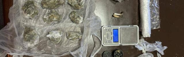 Krio u stanu marihuanu: Preti mu robija i do 10 godina