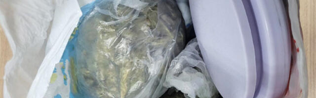 Пола милиона евра вредан канабис заплењен код Марсеја