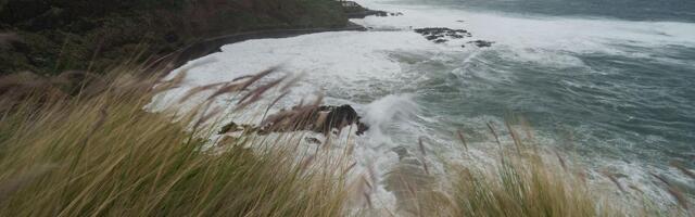 HOROR NA KANARSKIM OSTRVIMA! Autobus sa turistima strušio se u provaliju, ima mrtvih i povređenih (FOTO)