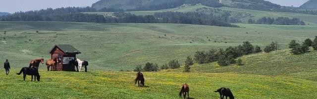 Sunčano i toplo sa temperaturom oko 30 stepeni