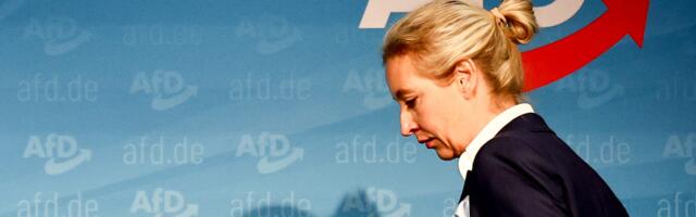DW: Da li AfD špijunira za Rusiju?