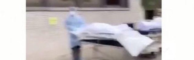 (VIDEO) "TELO... JOŠ JEDNO TELO... JOŠ JEDNO..." Njujorčani broje mrtve dok kamioni hladnjače čekaju da ih razvezu po mrtvačnicama!