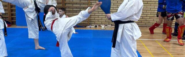 Mali sajam, a veliki praznik sporta: Manifestacija Sportskog saveza Srbije u Bečeju