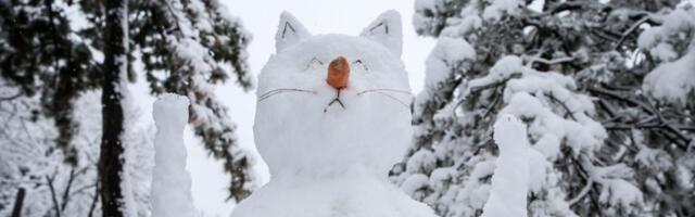 DA LI ĆE I DALJE VEROVATI VLASTIMA Bez struje 13.603 domaćinstva