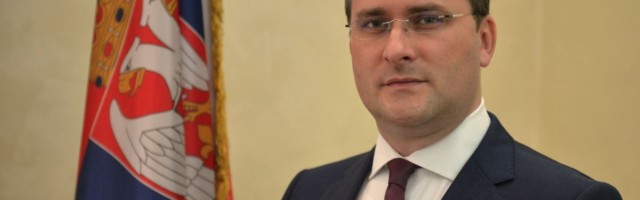 Selaković: Svaki Srbin u dijaspori potencijalni lobista