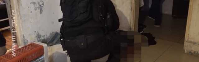 /VIDEO/ POLICIJA, LEZI DOLE! POGLEDAJTE VELIKU AKCIJU POLICIJE! Pohapšeni surovi trgovci ljudima u Beogradu!