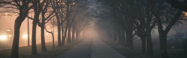 Danas pretežno suvo, ali oblačno: Posle jutarnje magle i mraza temperatura do 10 stepeni