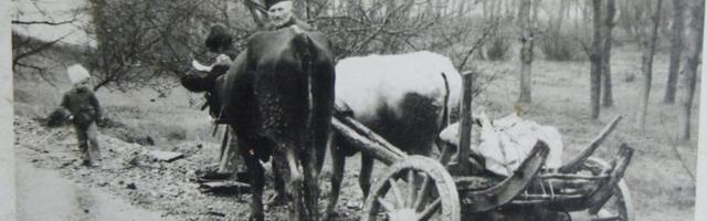 ZABORAVLjEN ŽIVOT U PLANINI: Sećanja na glad, kolonizaciju i selo kojeg više nema