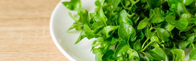 Povrće zdravije od brokolija, a skoro ga niko ne jede - stručnjaci kažu da je broj 1