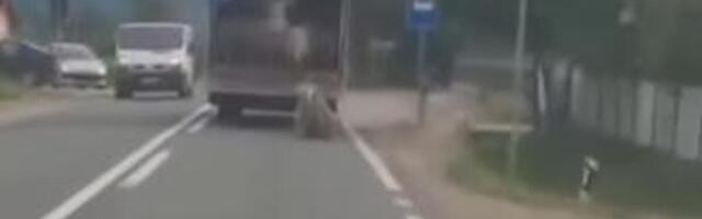 OVCE ISPADAJU IZ KAMIONA U POKRETU, LJUDI VAN SEBE OD PRIZORA: Uznemirujuća drama na putu kod Kruševca! (VIDEO)