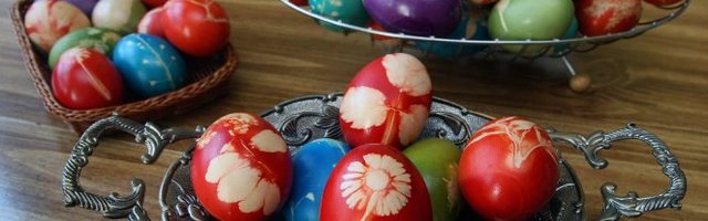 EVO KAKO DA DANAS DOMINIRATE U TUCANJU! Otkrivene MALE tajne - Jaje nemojte nikako da...