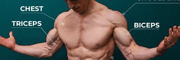 Slavni trener otrkiva 10 kalisteničkih vežbi za savršen razvoj mišića