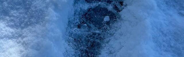 Jesu li ovo srpski Alpi? Snimljeni ogromni tragovi medveda usred idile na samo tri sata od Beograda