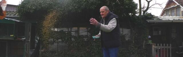 Pernato carstvo u čačanskom naselju: Milan ima desetine ptica u svom domaćinstvu, među njima i egzotične vrste