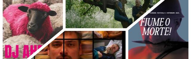 Omiljeni regionalni filmovi za 2025: Bolesni roditelji, bizarna istorija i roze ovce