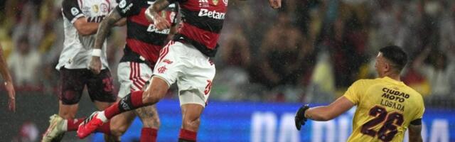 Žardim je novi trener Flamenga