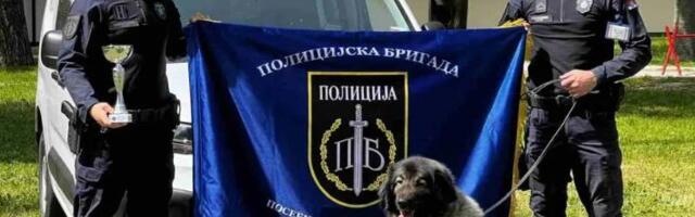 ISKRA IZ POLICIJSKE BRIGADE ODUŠEVILA Šarplaninka osvojila prvo mesto i CAC titulu u Zabeli (FOTO)