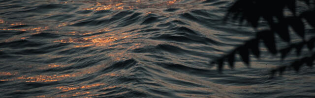 Meštanin izvukao bebu iz jezera na jugu Srbije: Iz vode je spašena živa, ne zna se u kakvom je stanju