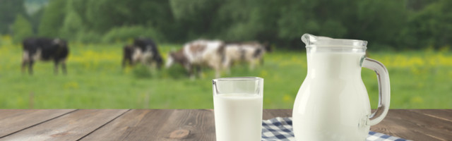 Nema zdrave i uravnotežene ishrane bez mleka i mlečnih proizvoda, a evo i zašto