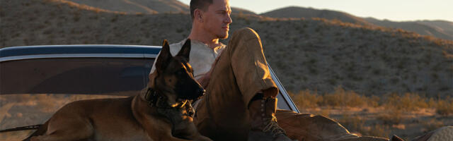 Film Pas u bioskopima od 17. marta