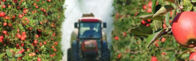 Ima li VOLJE I FINANSIJA: Poljoprivreda dobija novu strategiju, ali STARI PROBLEMI ostaju