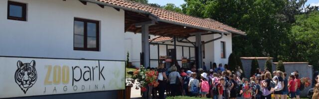 Jagodinski zoološki vrt dobio novu atrakciju: Još nemaju imena
