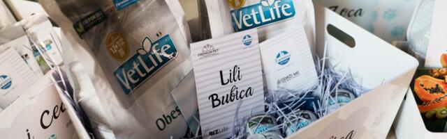 Četiri i po tone dobrote: Premium Pet i naša medijska kuća u zajedničkoj akciji za napuštene životinje