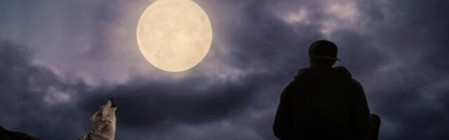 HOROSKOP ZA UTORAK, 13. DECEMBAR Ovan će postići značajan uspeh, Bik rešava finansijske probleme, Lav će izgubiti vrednu stvar