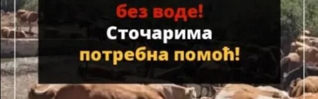 Na Suvoj planini životinje ponovo bez vode