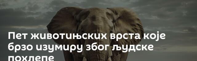 Пет животињских врста које брзо изумиру због људске похлепе