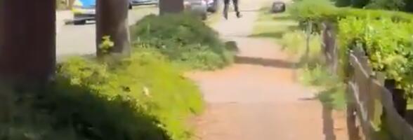 NOVI DETALJI MASAKRA U NEMAČKOJ! Policija iznela zastrašujuće informacije! Uhapšene dve osobe, evo ko su ubijeni ljudi, HELIKOPTERI nadleću Štade! (FOTO/VIDEO)