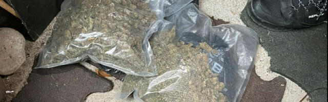 Kod dvojice Nišlija pronađeno skoro 4 kilograma marihuane i pištolj