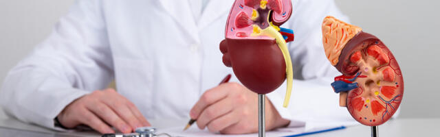 Transplantacija bubrega u Turskoj: Kako izgleda lečenje u bolnici Medical Park?