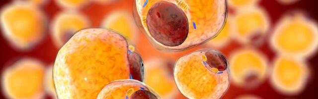 Novo otkriće o gojaznosti prepravlja decenije nauke o metabolizmu masti