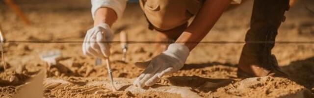 Otkrivena keltska grobnica stara oko 2.600 godina: Nećete verovati gde se nalazi