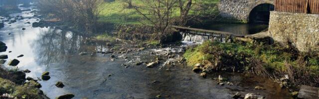Šta to krije Gradac u svojim rukavcima? Daleko od ljudskih pogleda ovde obitava najređi i najslađi stanovnik