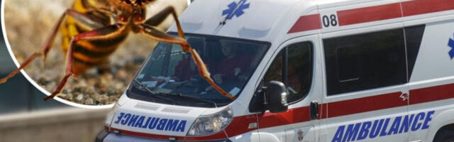 TEŠKA DRAMA U LOZNICI! Devojčicu ubo stršljen, jedva živa ostala - TRI PUTA JOJ TOKOM NOĆI LEKARI SPASAVALI ŽIVOT, JOŠ U BOLNICI!