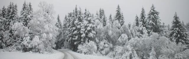 Sneg zavejao Sloveniju, danas se očekuje novih 20 centimetara: U ovom delu zemlje čak 318 cm visina pokrivača