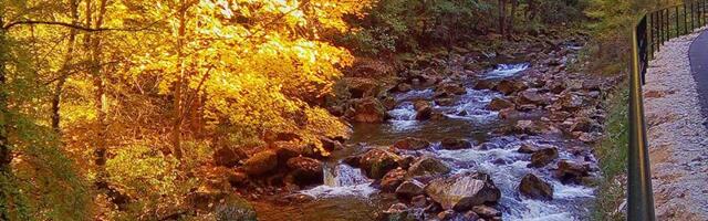 Završava se ribolovna sezona na ribarskom području „Klisura Đetinje“
