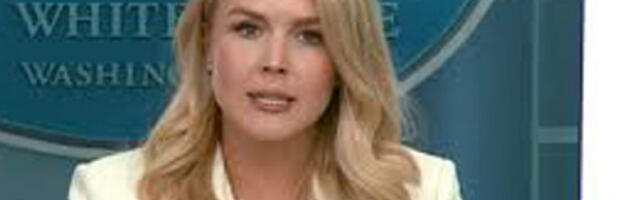 Ливит: Трамп незадовољан због кашњења мировног договора између Украјине и Русије