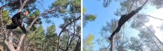 Mnogi misle da je ovo AI: Ako nije, a verovatno nije, onda je potpuno NEVEROVATNO šta radi ovaj čovek!