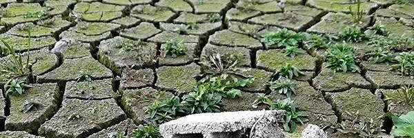 Konkurs Foto kluba Objektiv: Živi svet Gružanskog jezera