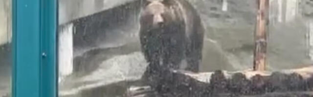 Зима неће потрајати