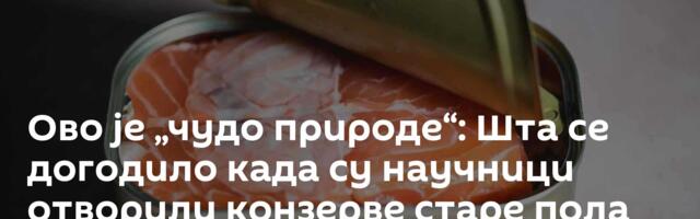 Ово је „чудо природе“: Шта се догодило када су научници отворили конзерве старе пола века