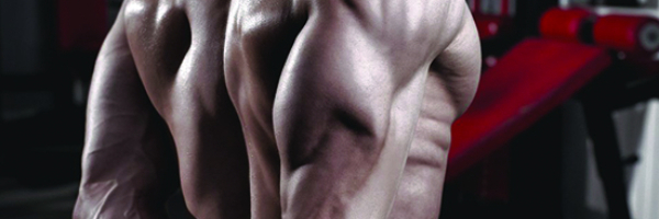 Triceps Kickback - triceps vežba koju morate raditi