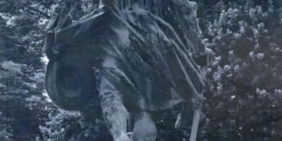 Zašto nam (bre) ide tako loše?