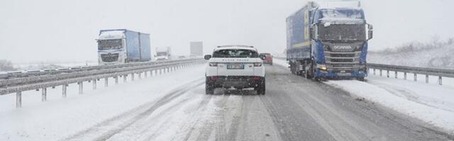 U ovom delu Srbije pao sneg, a pre nedelju dana cvetala voćka